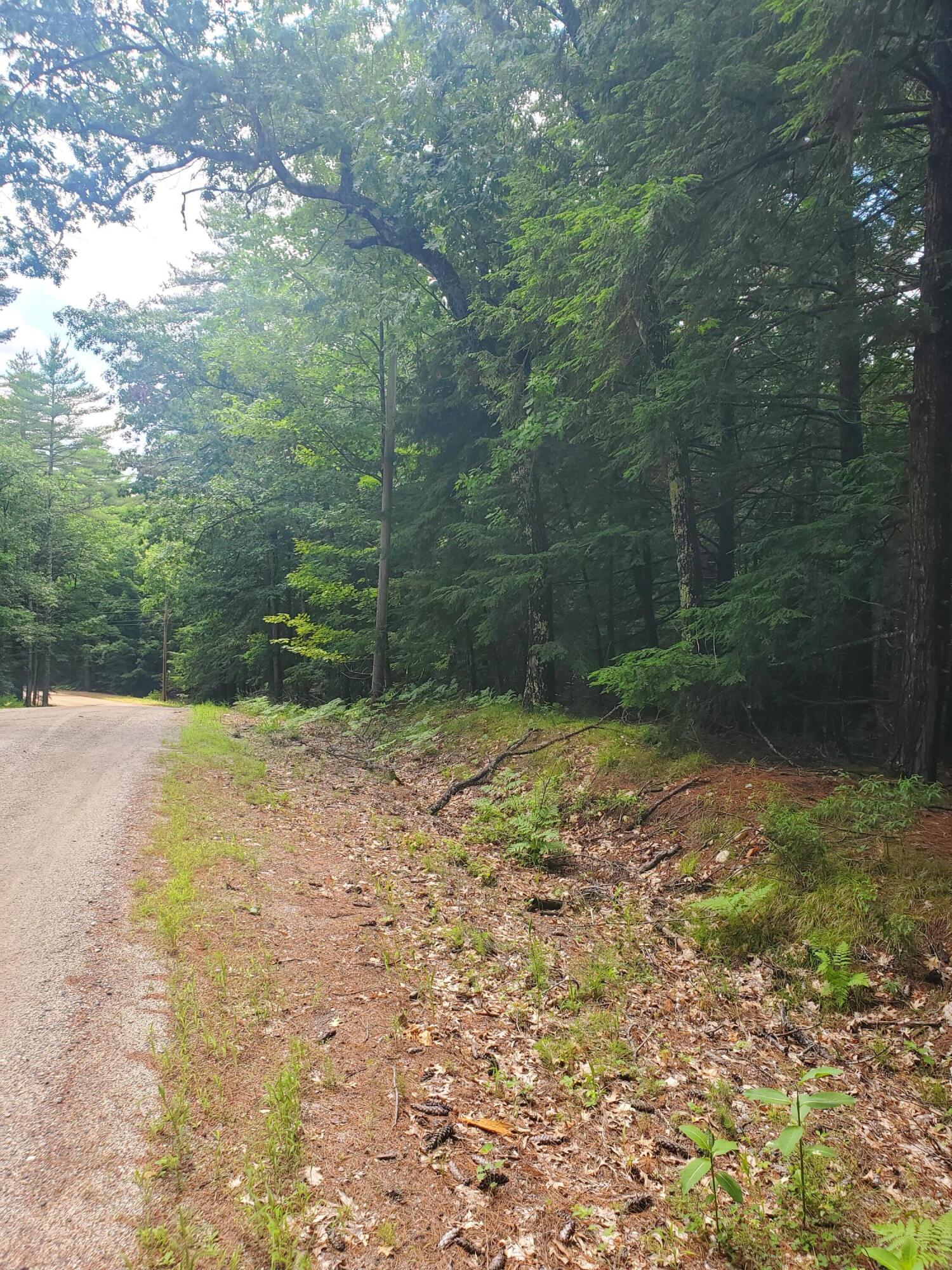 Lot #36 Beaver Brook Road Limerick, ME 04048 - Photo 9 of 18 20260626_134041