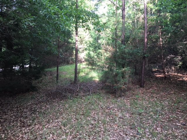 855 Miller Town Road Pauline, SC 29374 - Photo 4 of 9
