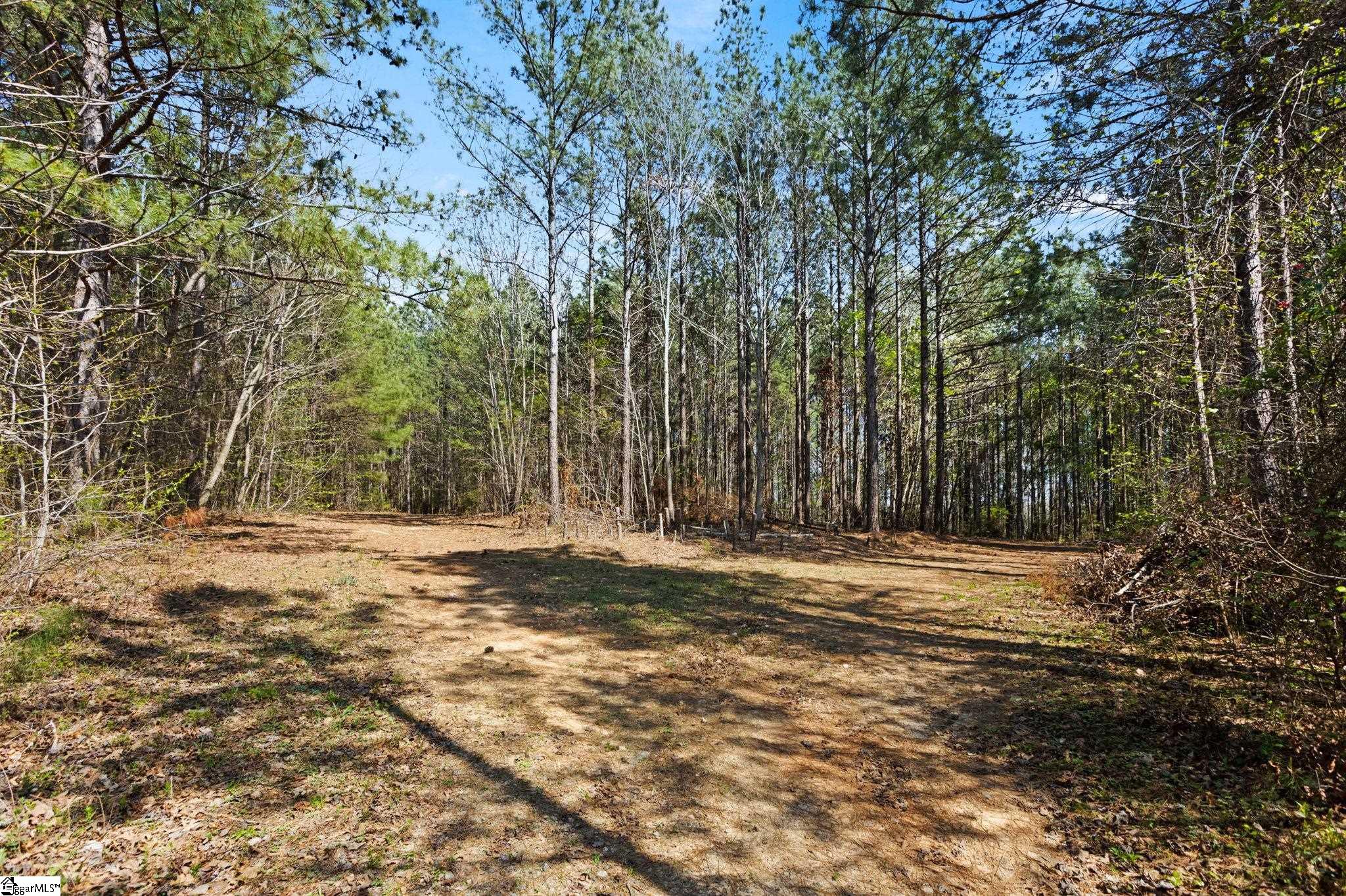 0 Todd Road Gray Court, SC 29645 - Photo 12 of 21