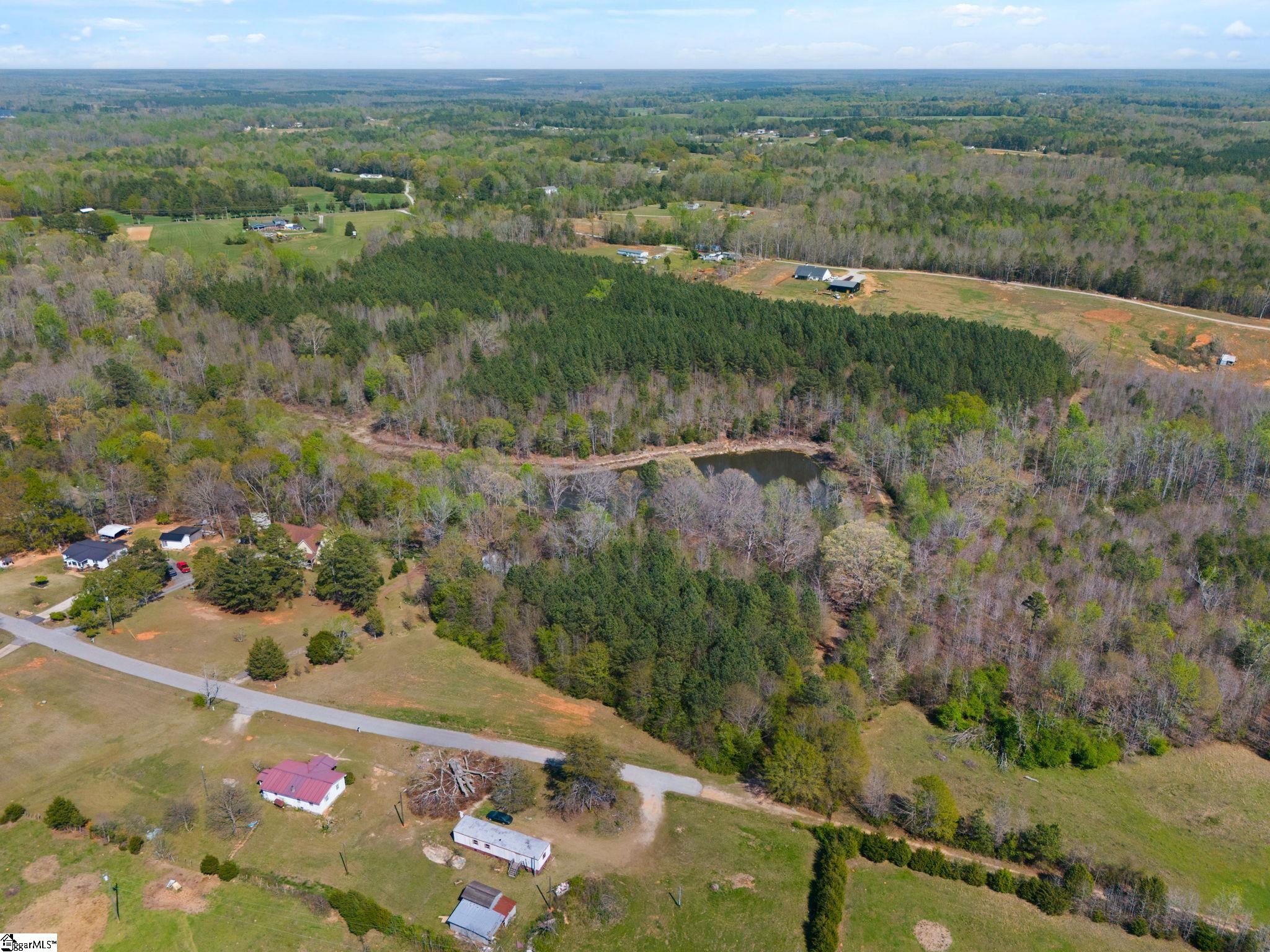 0 Todd Road Gray Court, SC 29645 - Photo 14 of 21