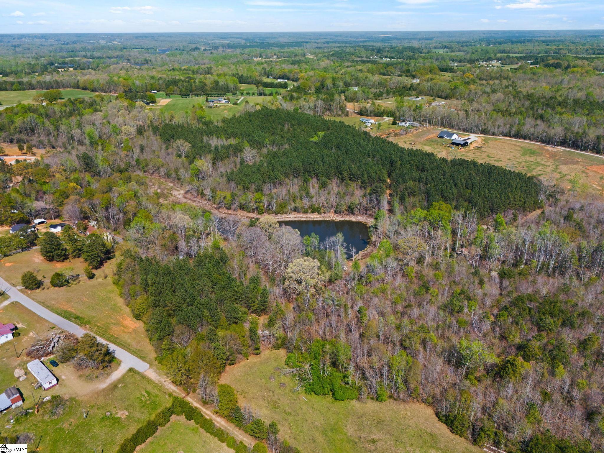 0 Todd Road Gray Court, SC 29645 - Photo 15 of 21