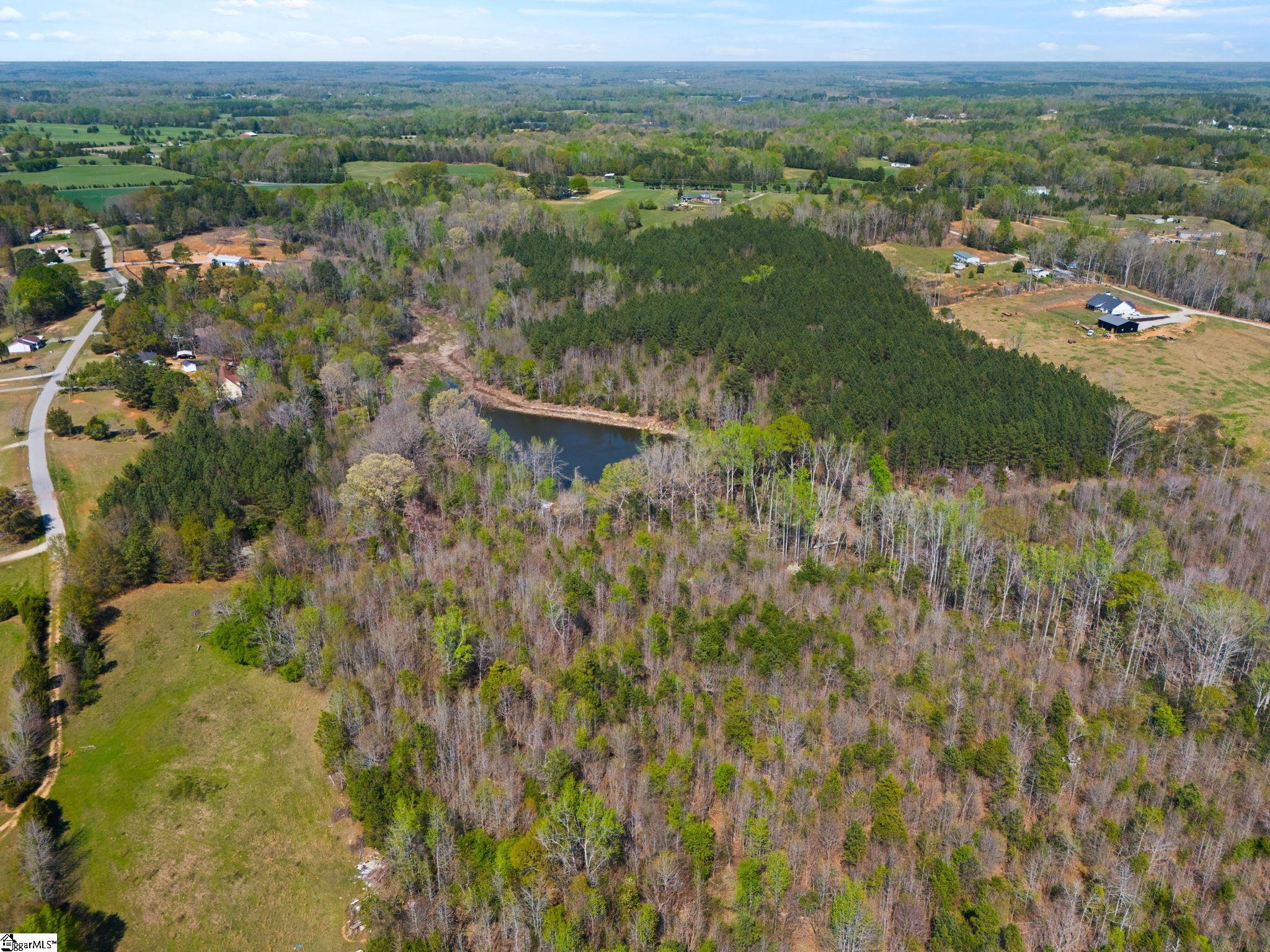 0 Todd Road Gray Court, SC 29645 - Photo 16 of 21