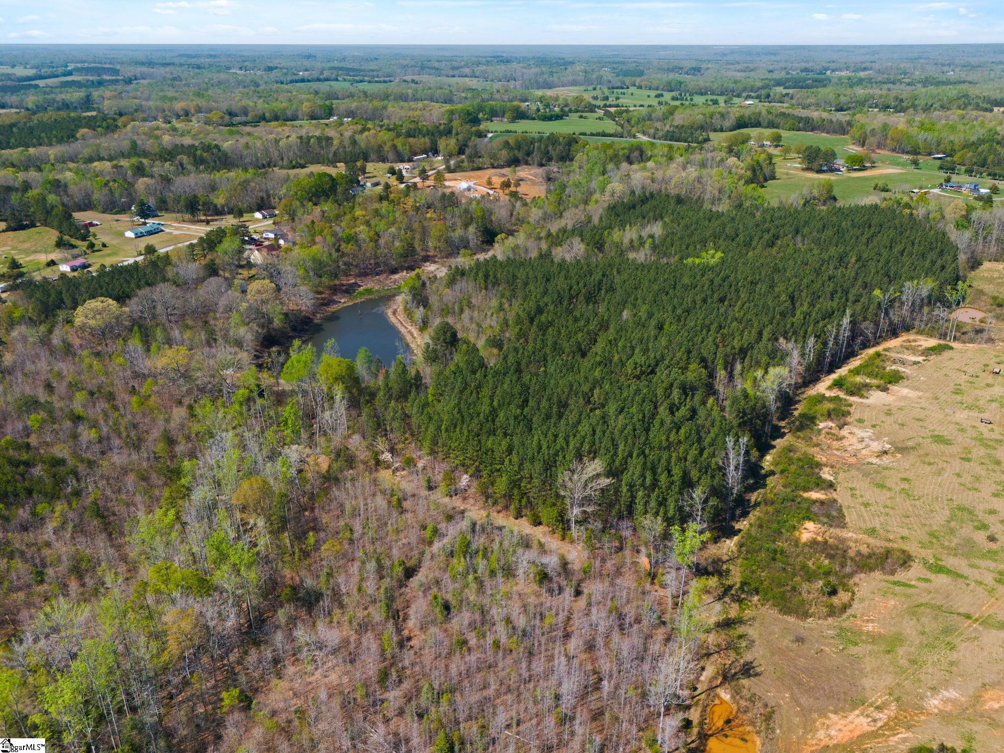 0 Todd Road Gray Court, SC 29645 - Photo 17 of 21