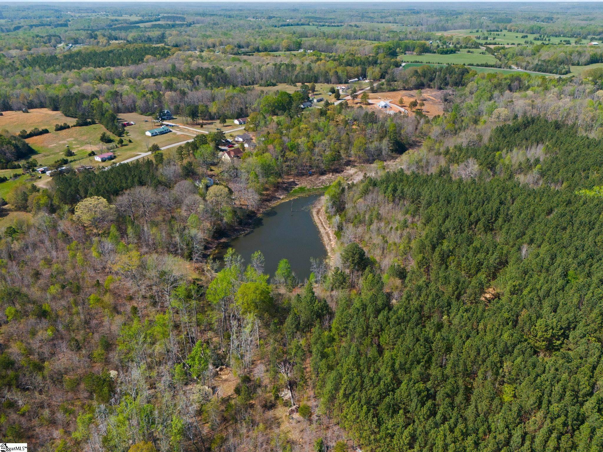 0 Todd Road Gray Court, SC 29645 - Photo 18 of 21