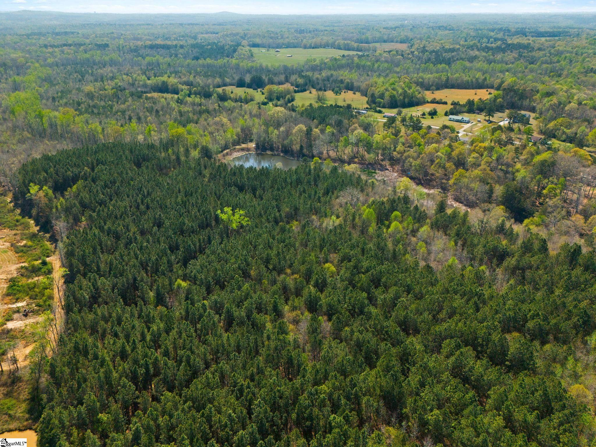 0 Todd Road Gray Court, SC 29645 - Photo 19 of 21
