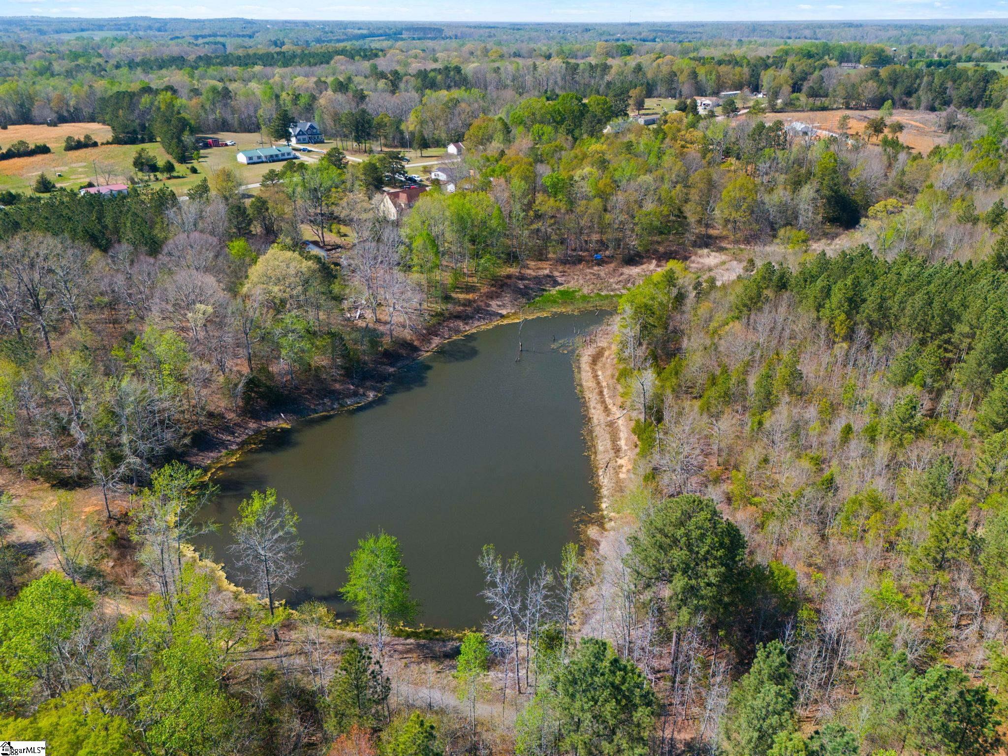 0 Todd Road Gray Court, SC 29645 - Photo 20 of 21