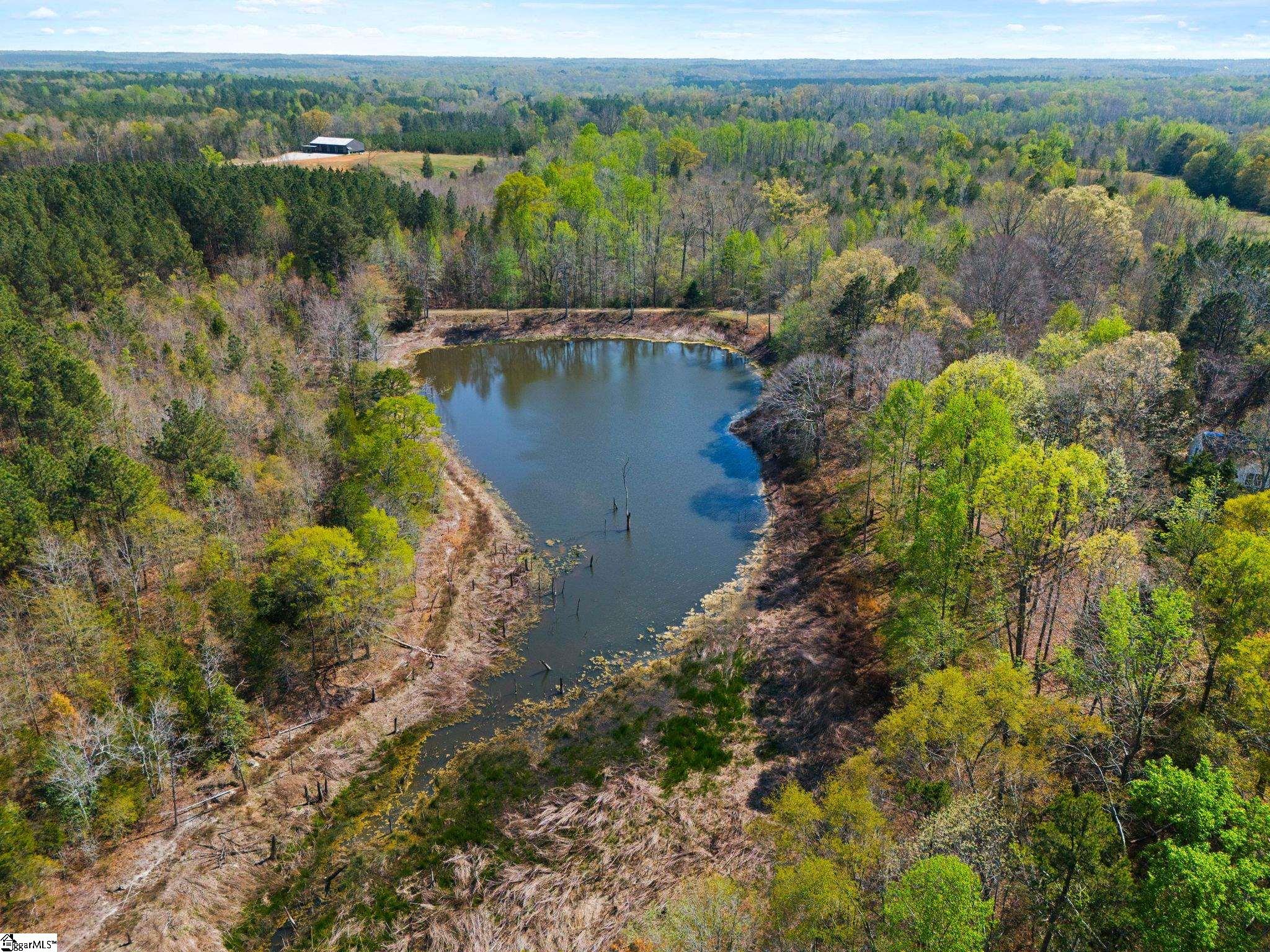 0 Todd Road Gray Court, SC 29645 - Photo 2 of 21