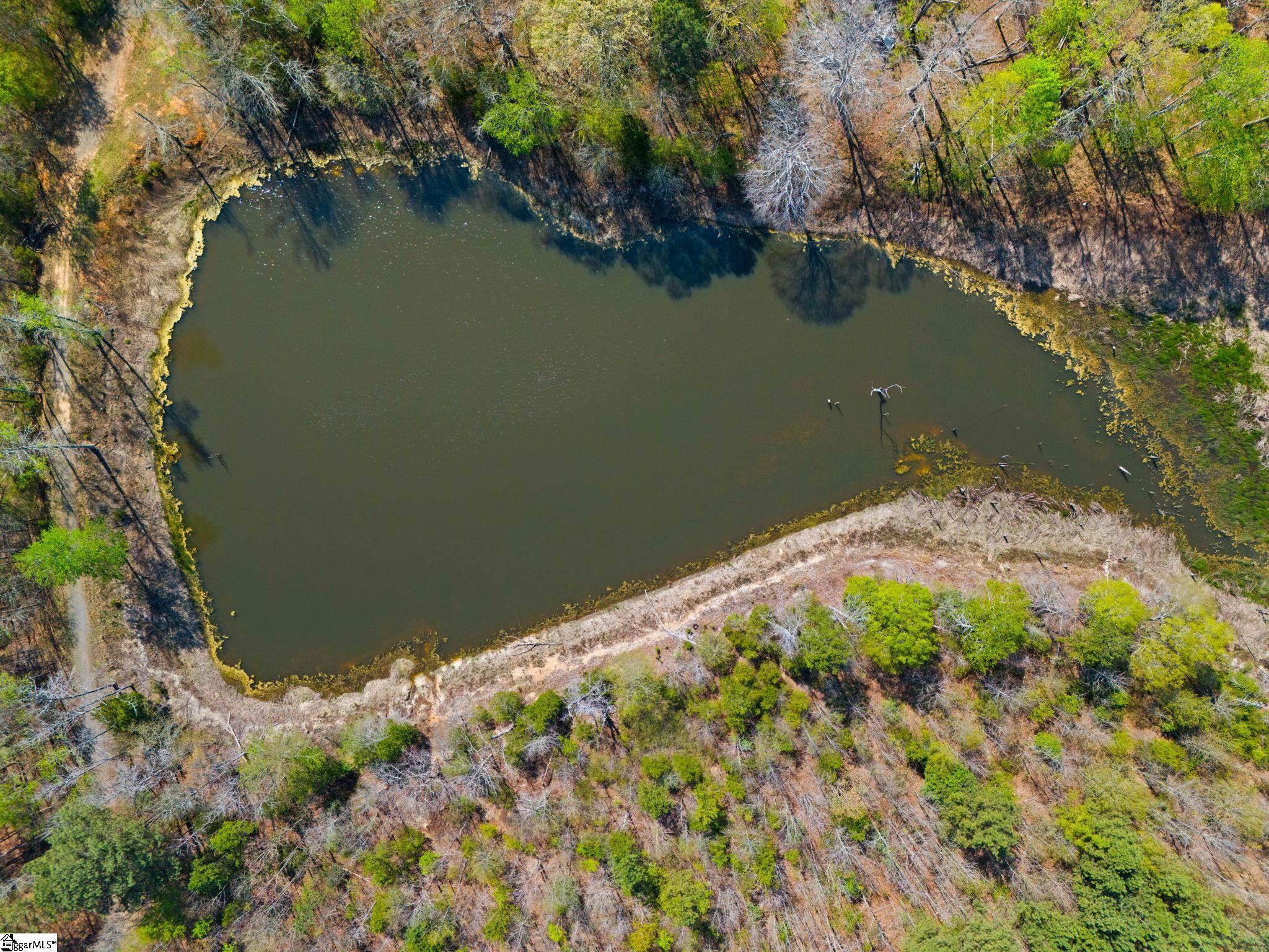 0 Todd Road Gray Court, SC 29645 - Photo 21 of 21