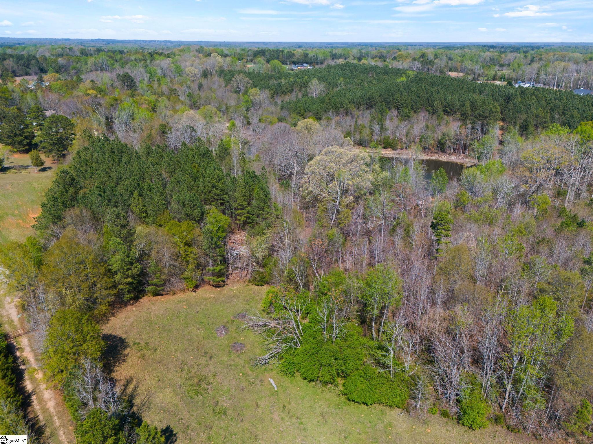 0 Todd Road Gray Court, SC 29645 - Photo 3 of 21