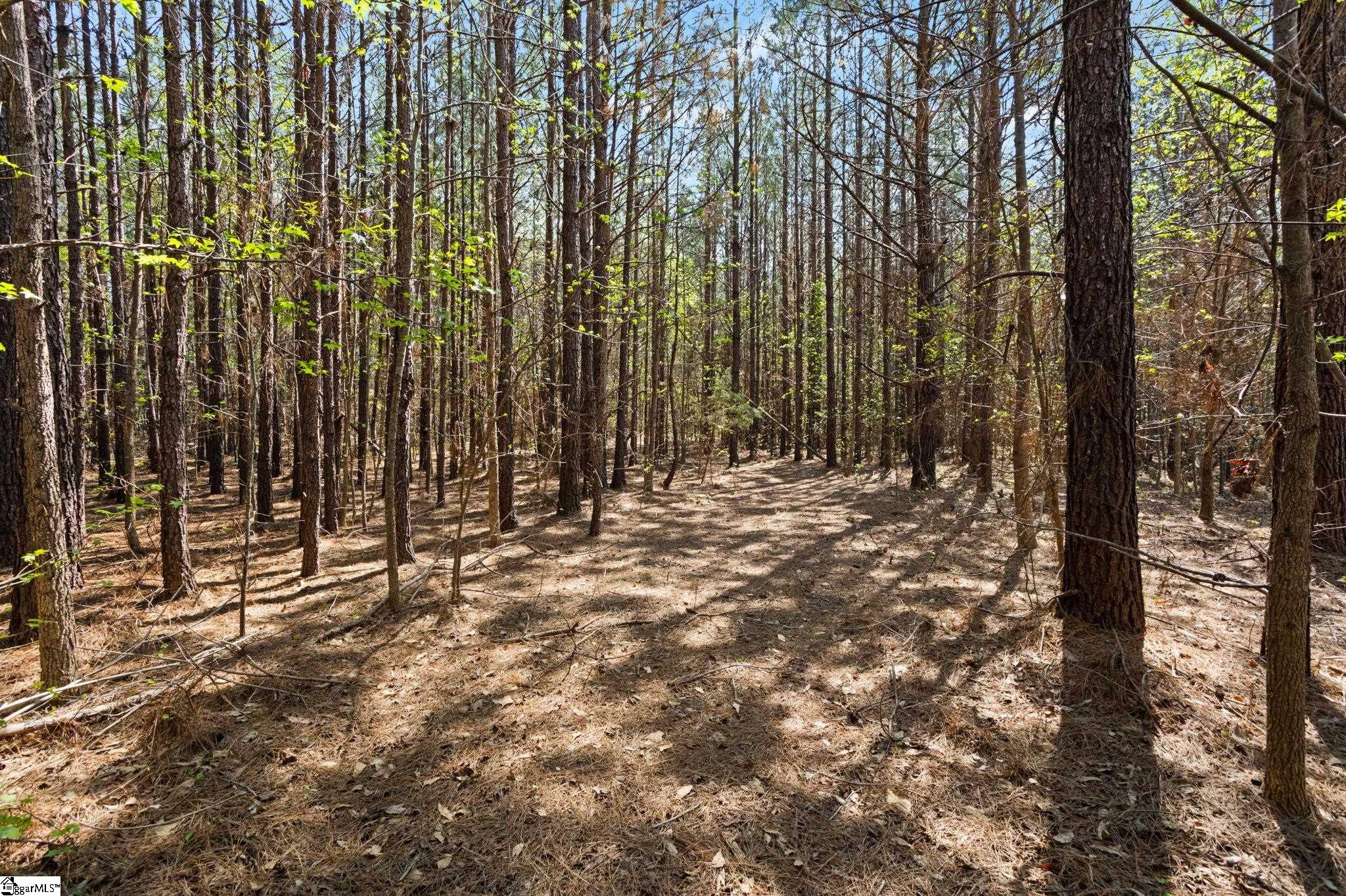 0 Todd Road Gray Court, SC 29645 - Photo 5 of 21