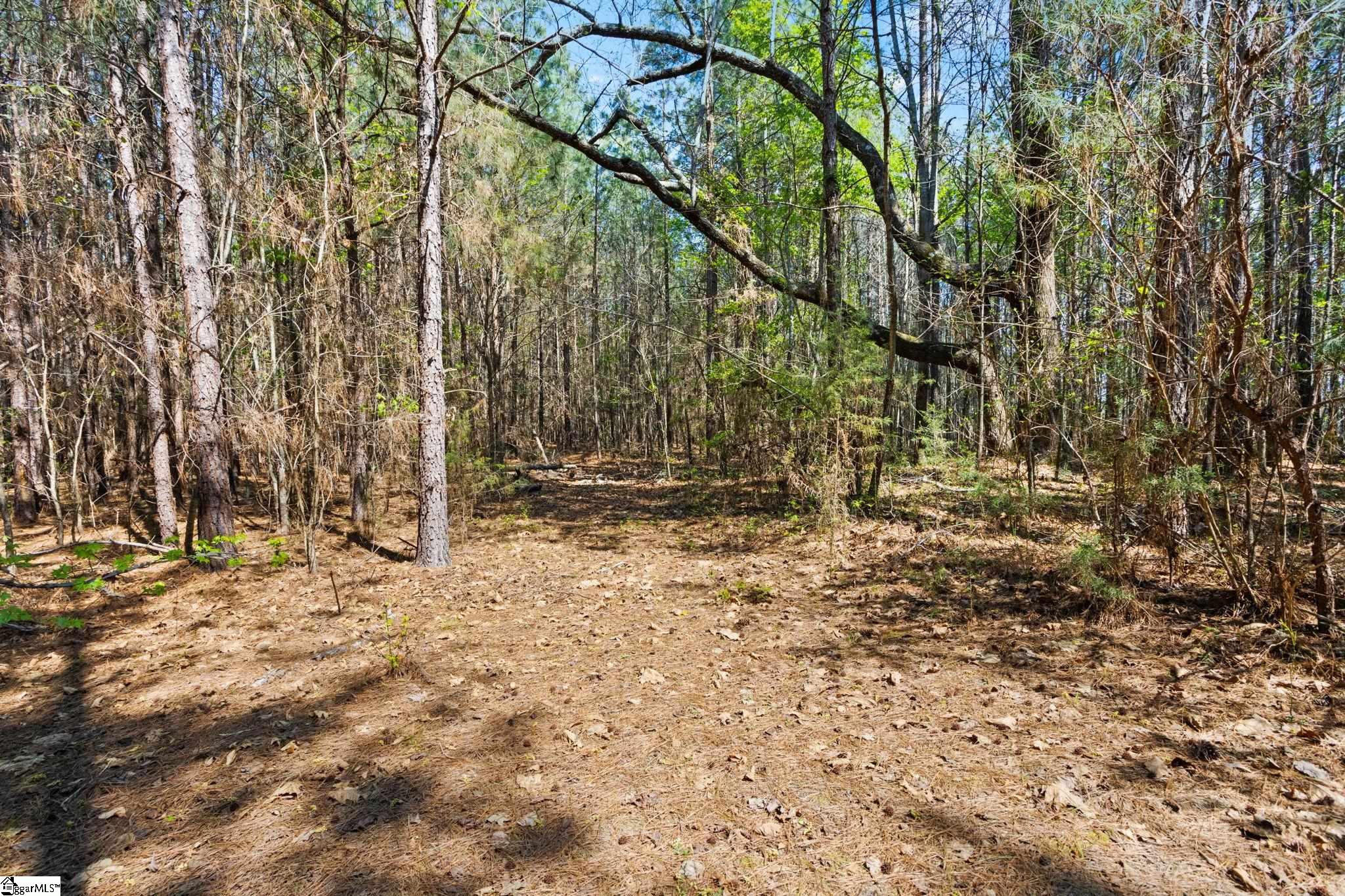 0 Todd Road Gray Court, SC 29645 - Photo 6 of 21