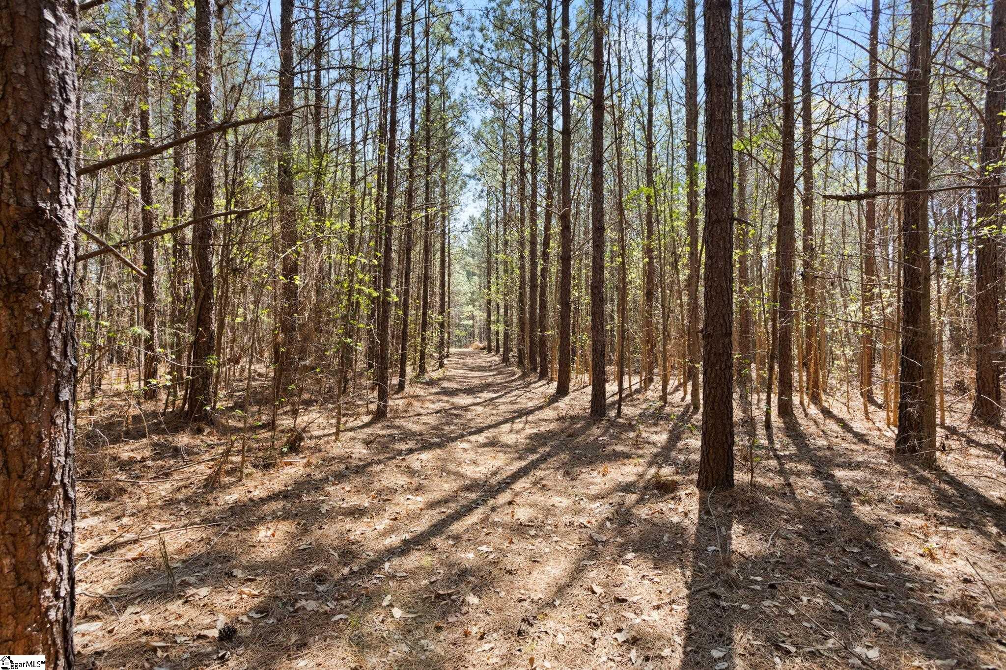 0 Todd Road Gray Court, SC 29645 - Photo 7 of 21