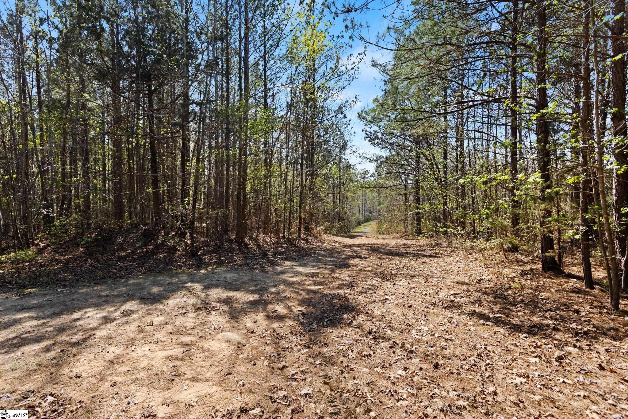 0 Todd Road Gray Court, SC 29645 - Photo 9 of 21