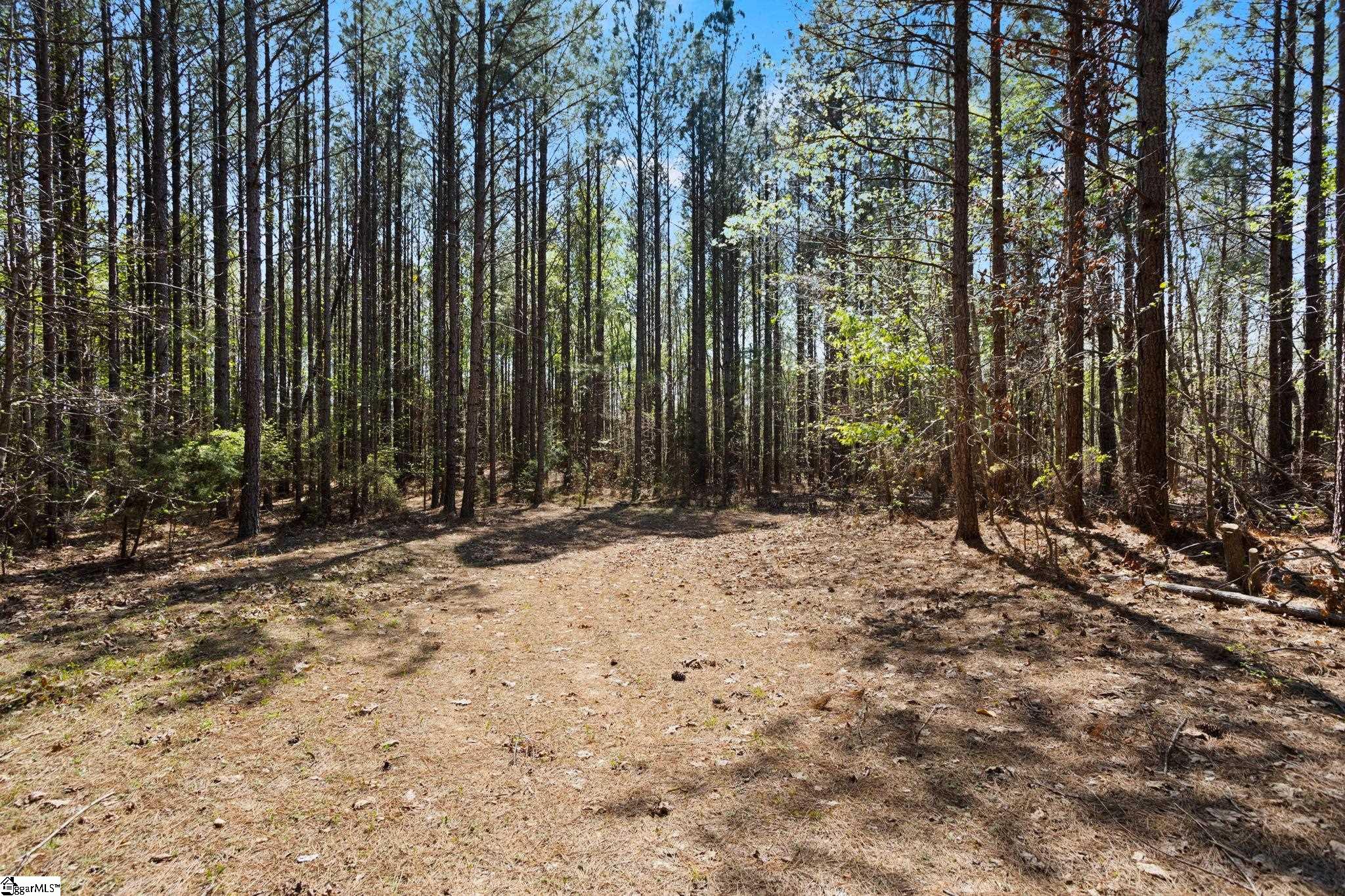 0 Todd Road Gray Court, SC 29645 - Photo 10 of 21