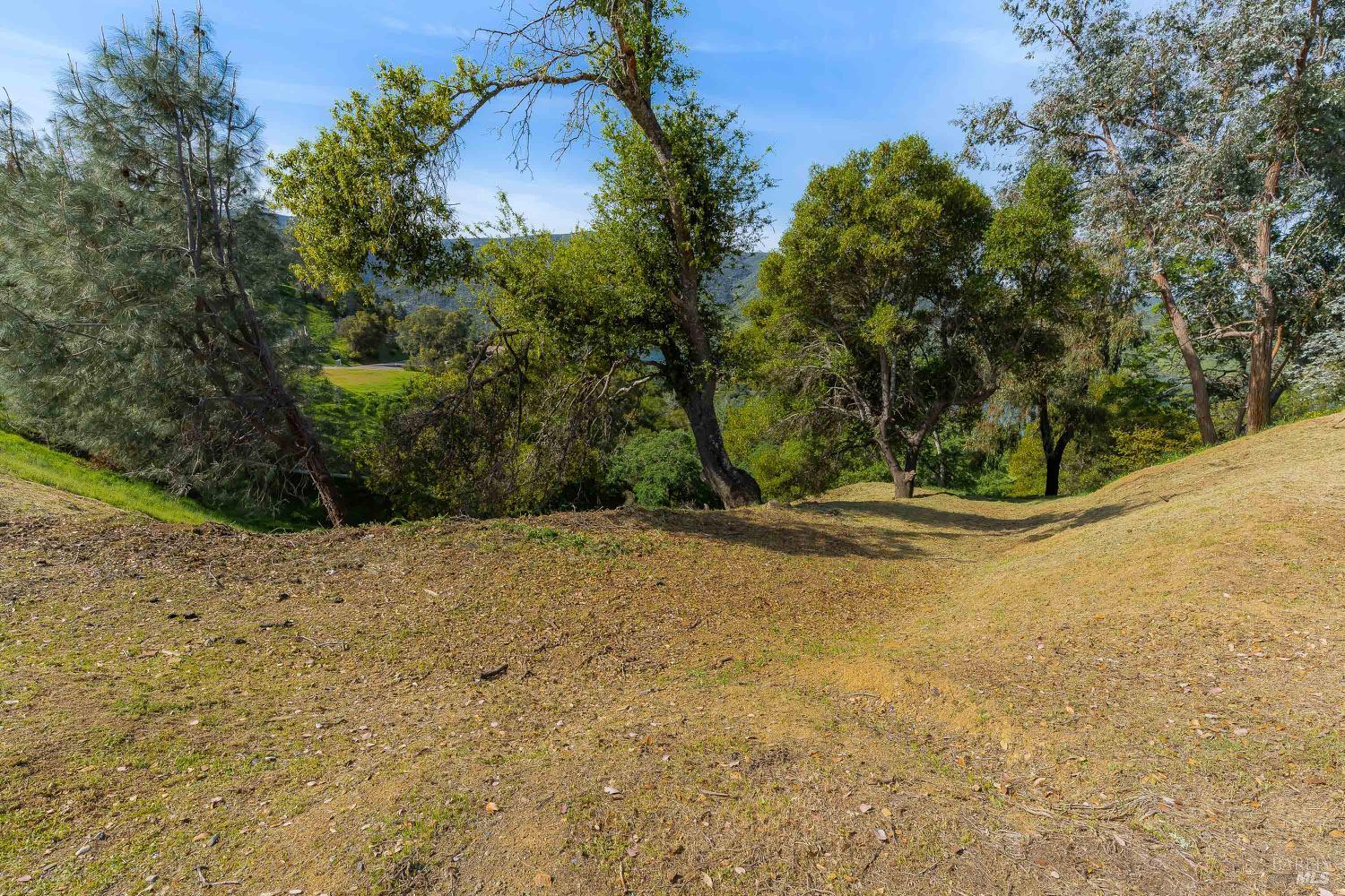 0 Steele Canyon Road Napa, CA 94558 - Photo 8 of 21