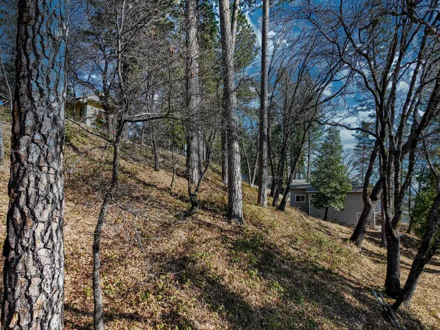 a backyard of a house with lots of green space