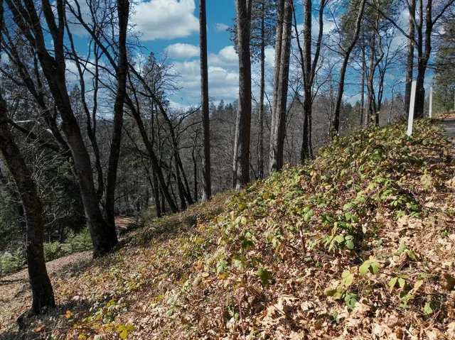 a view of a backyard of the house