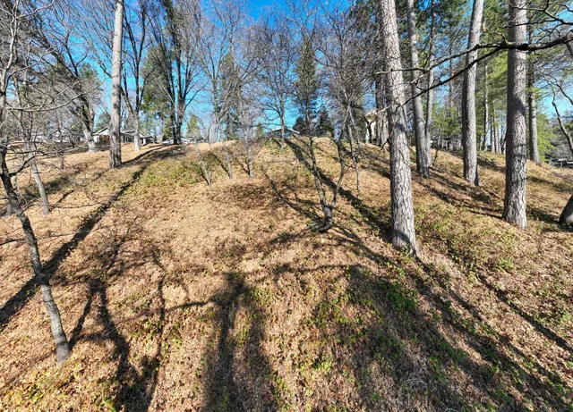 a view of a yard with trees
