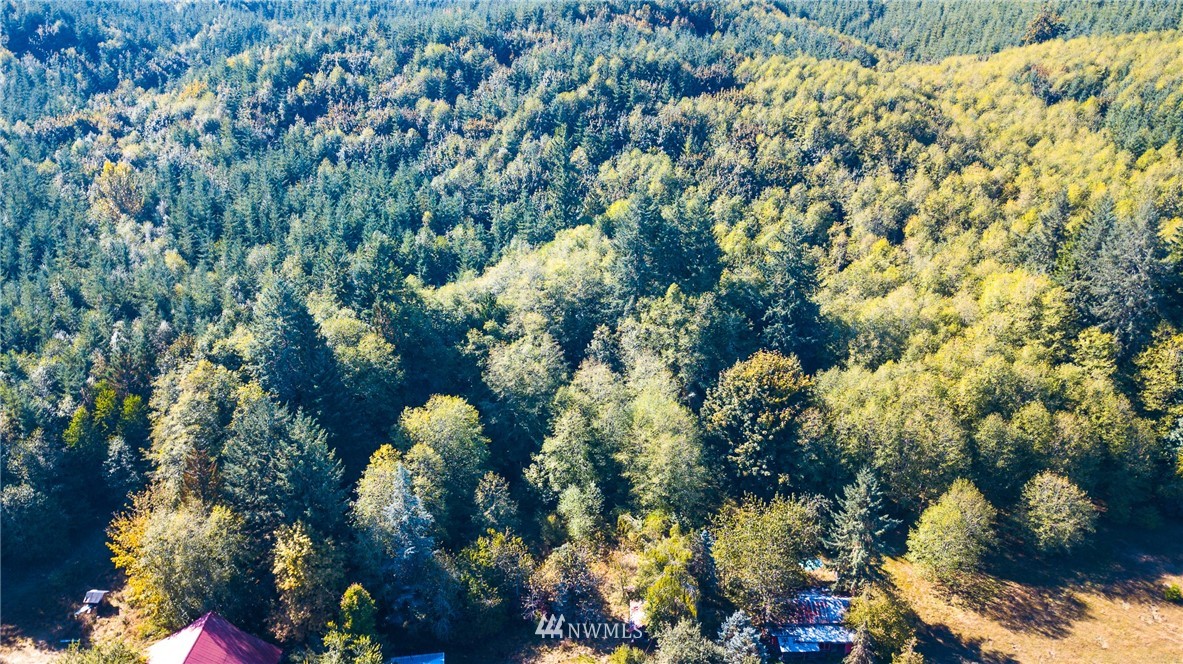 1011 Bunker Creek Road Chehalis, WA 98532 - Photo 12 of 12 Gallery Image 12