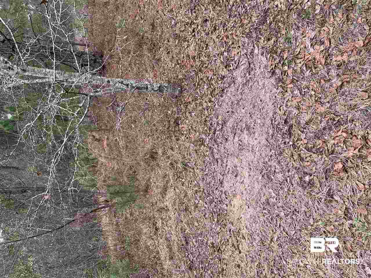 0 Sexton Brg Road Luverne, AL 36049 - Photo 34 of 50