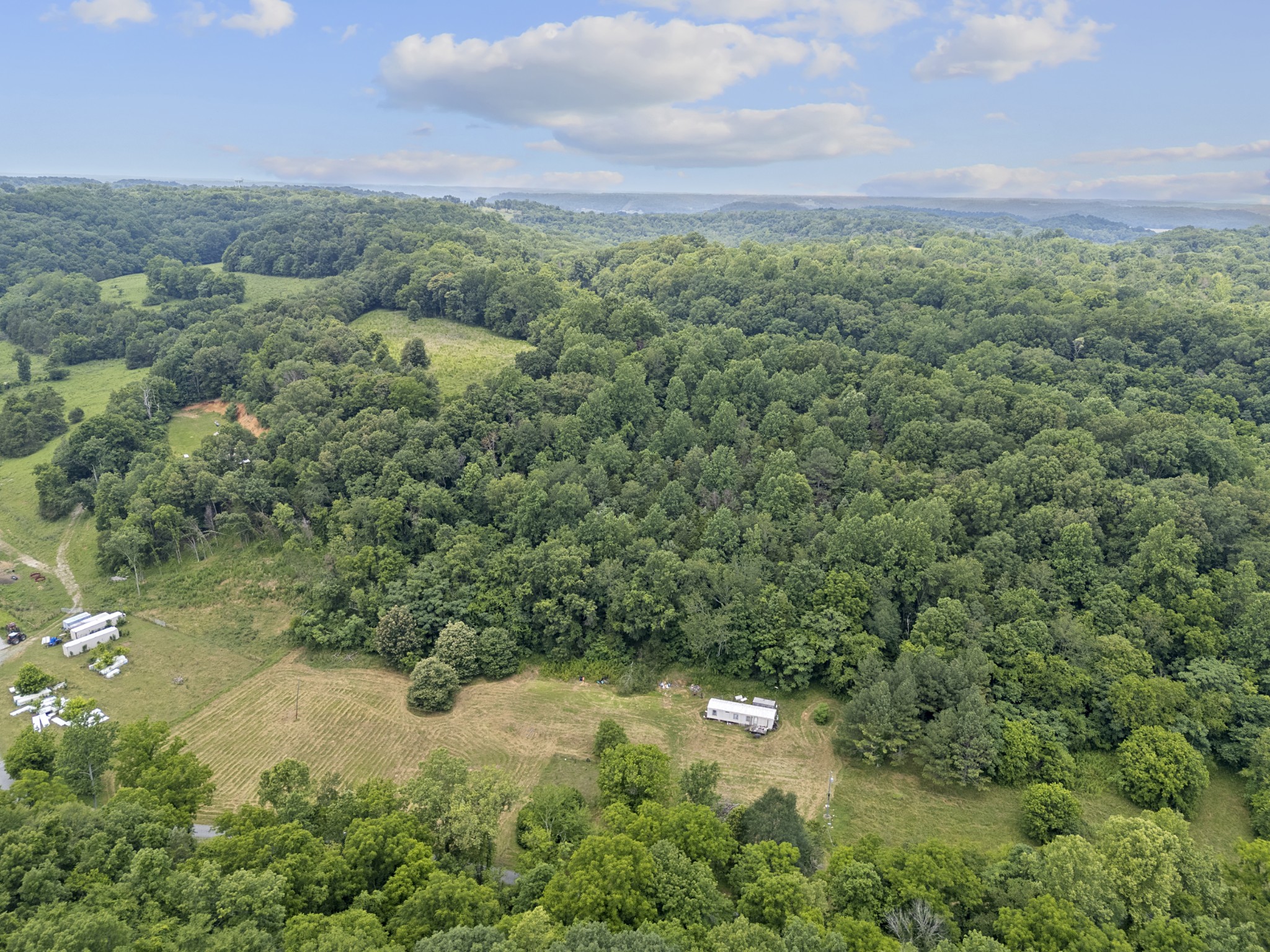 55 Thompson Hollow Road Taft, TN 38488 - Photo 3 of 13 a view of a forest with a street