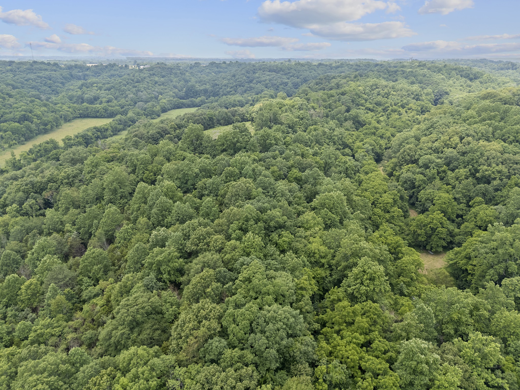 55 Thompson Hollow Road Taft, TN 38488 - Photo 4 of 13 a view of a field of grass and trees