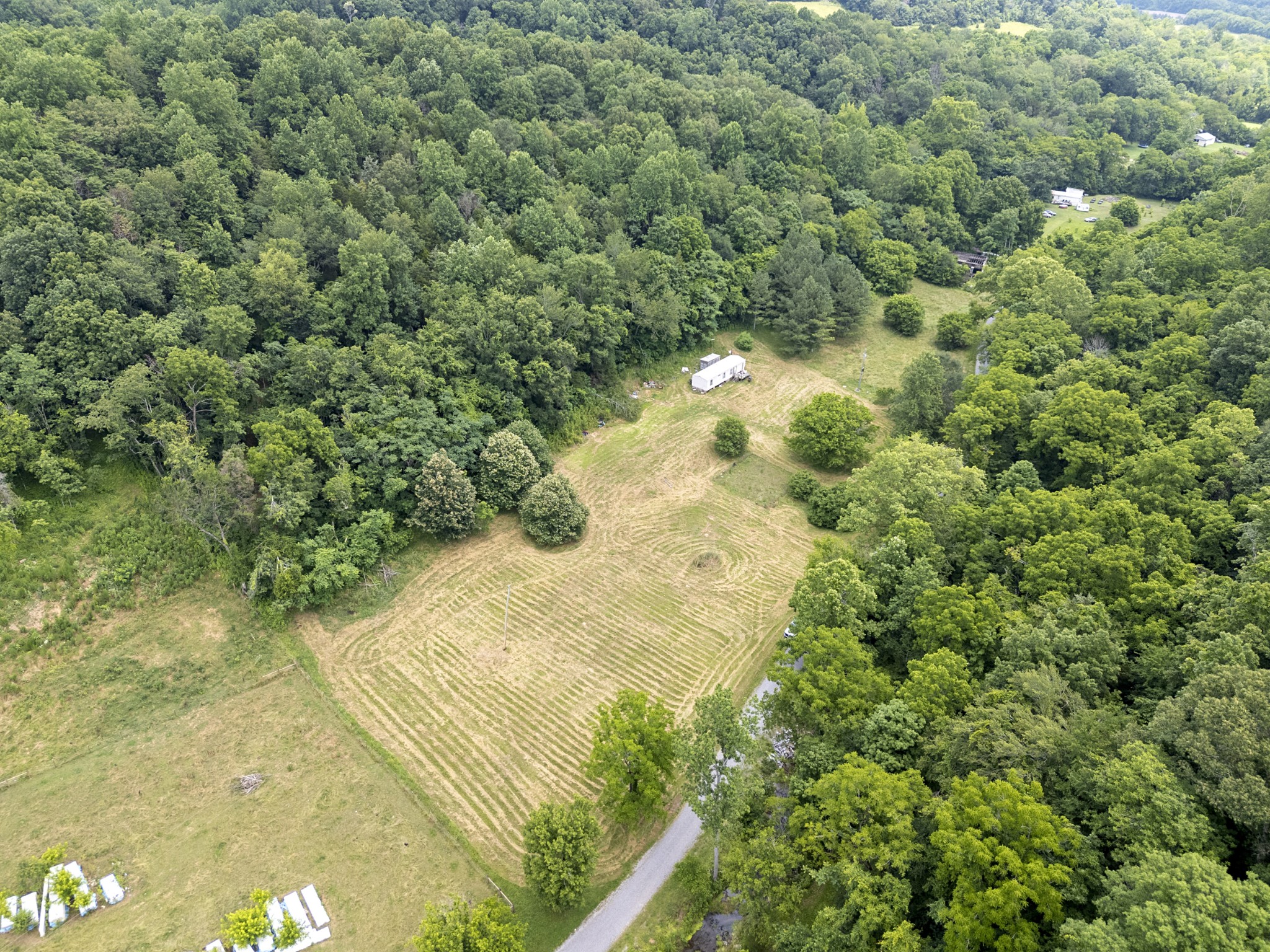 55 Thompson Hollow Road Taft, TN 38488 - Photo 7 of 13 a view of a yard