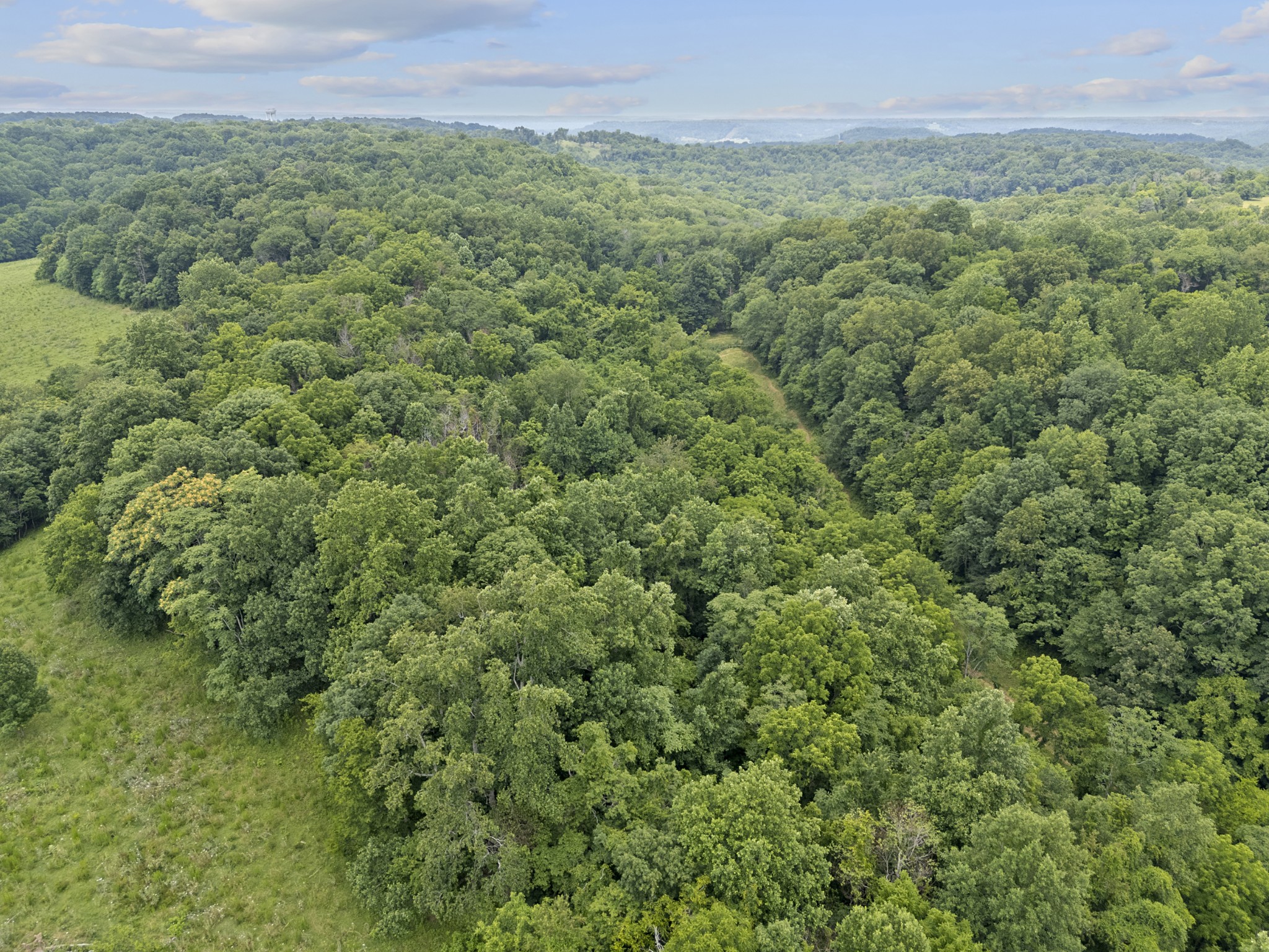 55 Thompson Hollow Road Taft, TN 38488 - Photo 10 of 13 a view of a lush green forest with trees and some houses