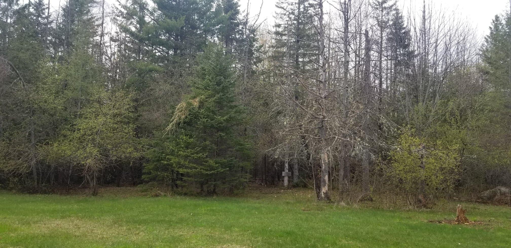 235 Turnpike Road Medway, ME 04460 - Photo 29 of 33 183339772_559976614982714_84873538231272