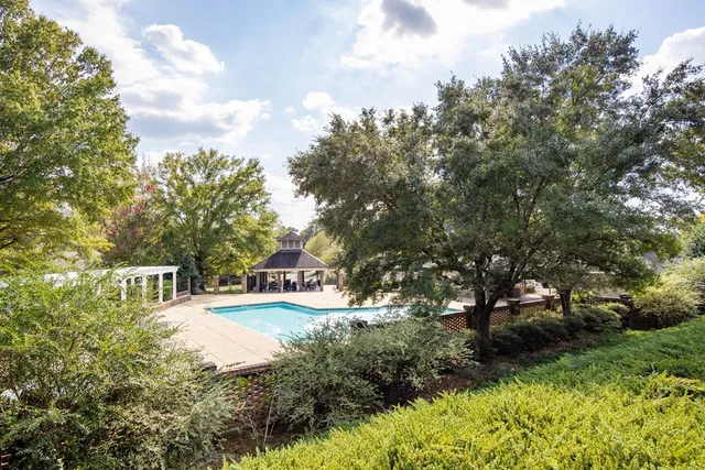 a view of a yard with plants and a large tree