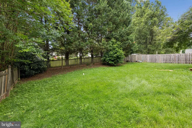 a view of a yard with a trees
