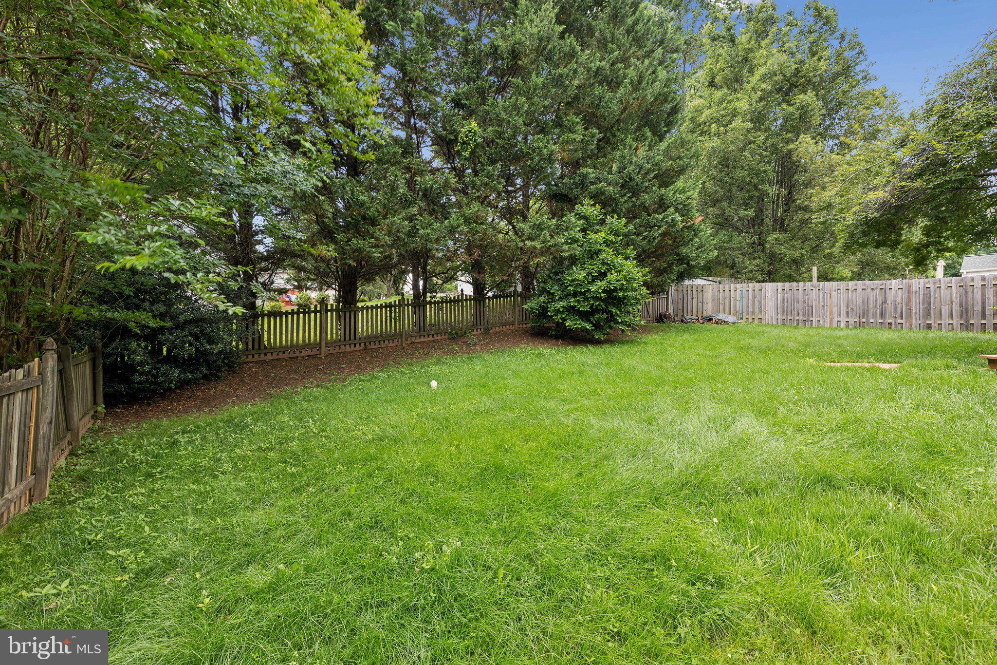 14 St Peters Court Stafford, VA 22556 - Photo 39 of 47 a view of a yard with a trees