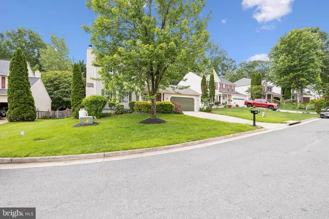 a view of a park with large trees