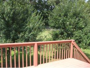 244 Maple Ridge Drive Jonesborough, TN 37659 - Photo 13 of 22 33823313