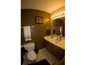 244 Maple Ridge Drive Jonesborough, TN 37659 - Photo 19 of 22 33823344