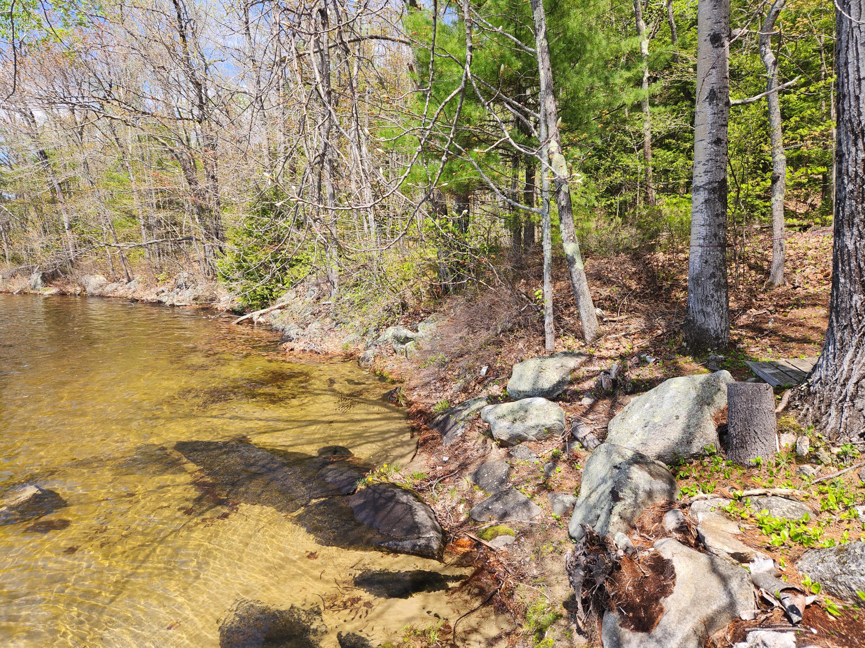 286 Staples Hill Road Canton, ME 04221 - Photo 4 of 118 Sandy swimming area