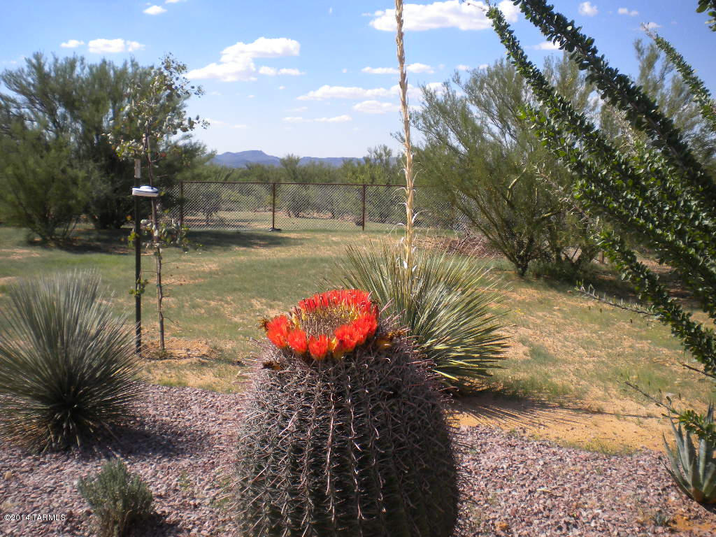 16332 West Lynnette Road Tucson, AZ 85736 - Photo 20 of 22 Gallery Image 20