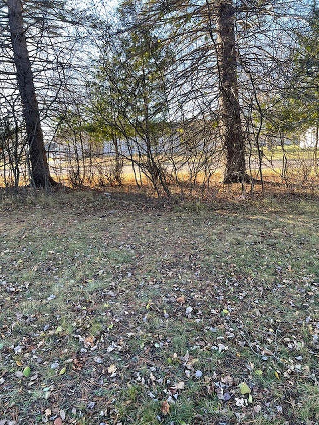 329 Hemlock Street Rhinelander, WI 54501 - Photo 6 of 27 Gallery Image 6