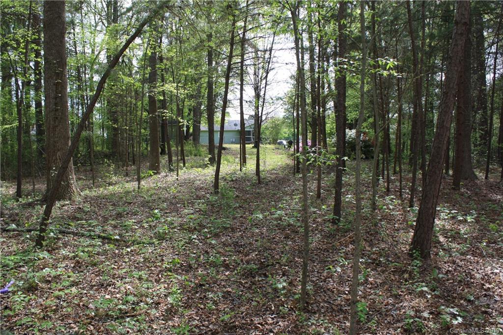 230 East Old Limestone Road York, SC 29745 - Photo 24 of 25 Gallery Image 24