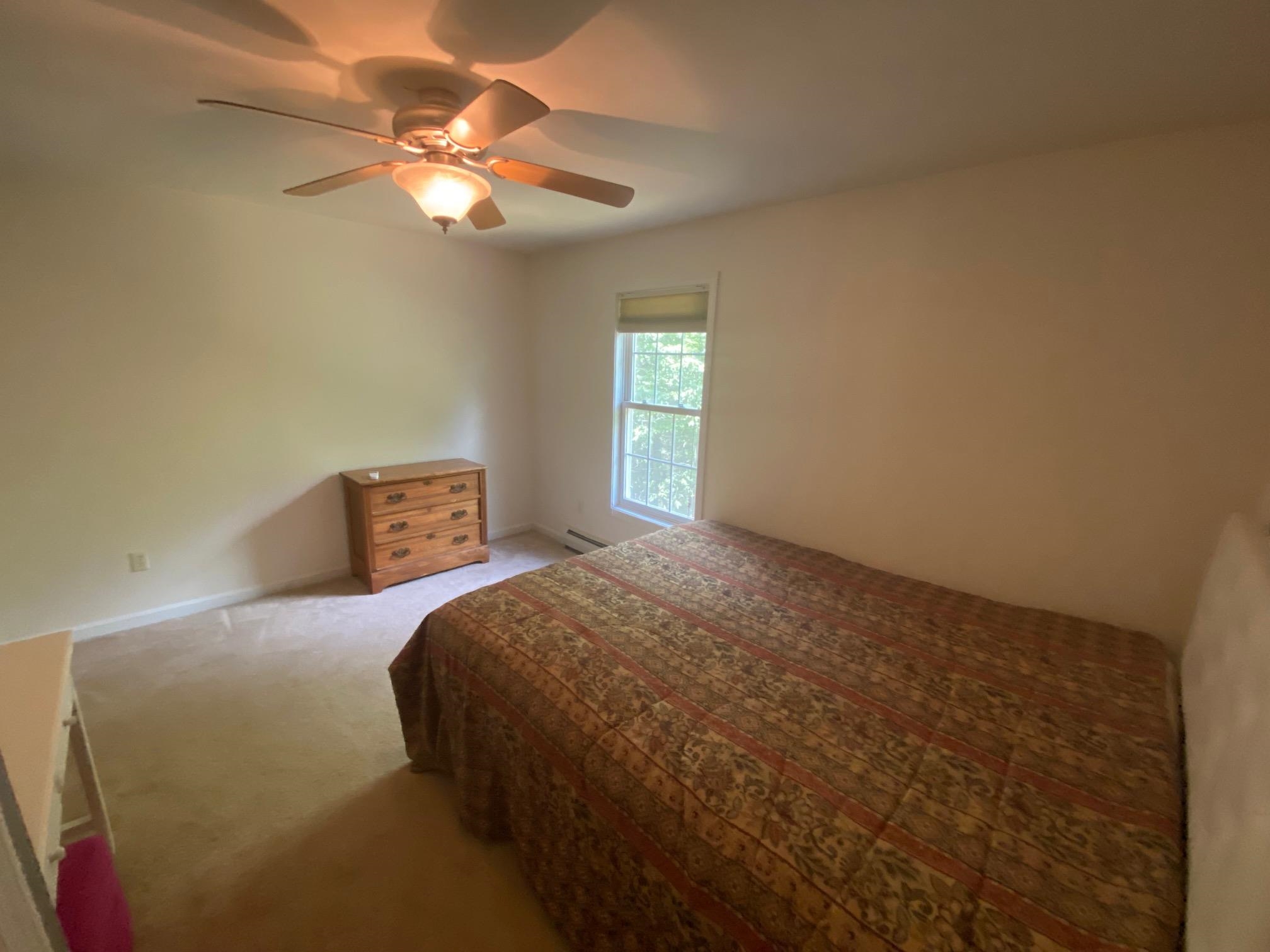 250 Grapevine Road Dunbarton, NH 03046 - Photo 42 of 60