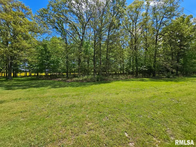 $14,500 | Lot 2 North Wildwood Place, Dix, IL 62830