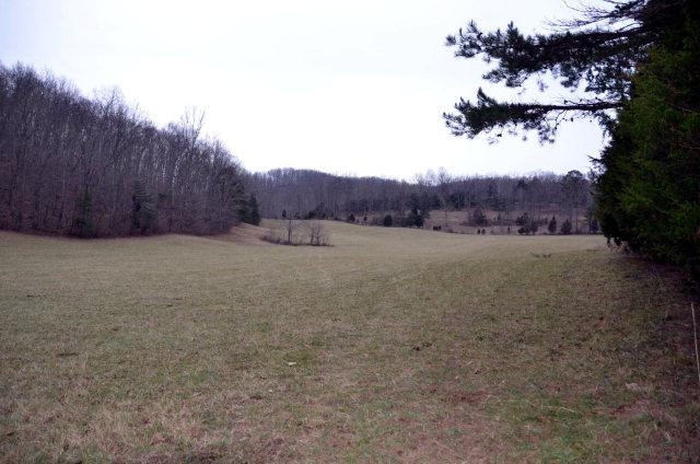 1709 Macedonia Road Wayland, KY 41666 - Photo 5 of 7 Photo 5