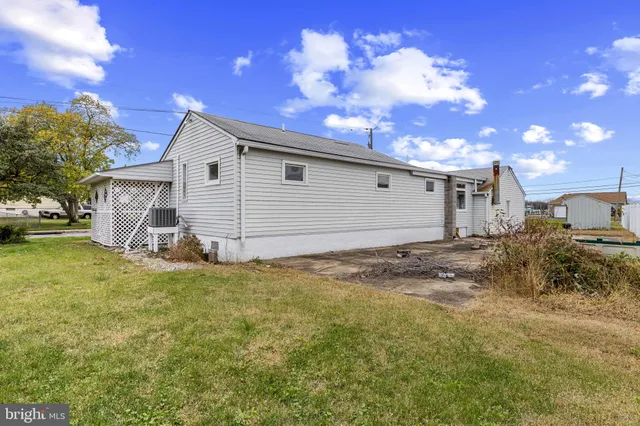 a view of a backyard with a large tree