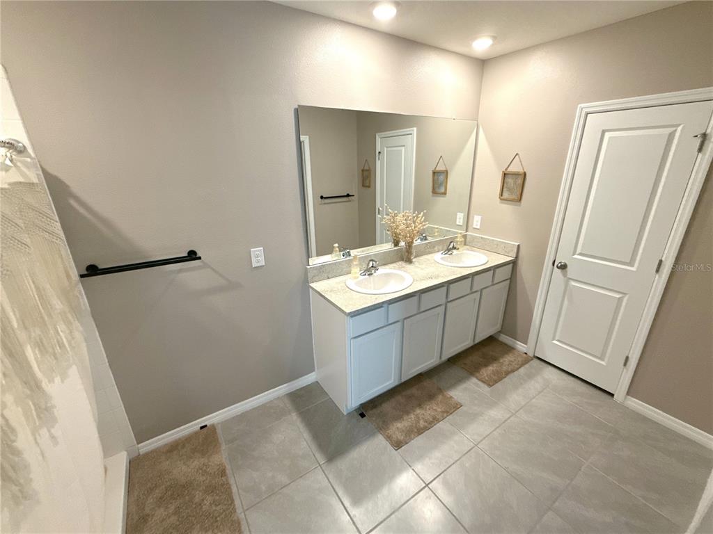 8446 Hardy Bay Loop Wesley Chapel, FL 33545 - Photo 25 of 38 a bathroom with a sink a mirror and a vanity