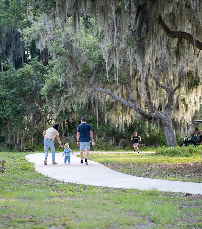 8446 Hardy Bay Loop Wesley Chapel, FL 33545 - Photo 37 of 38 a view of a park with large trees