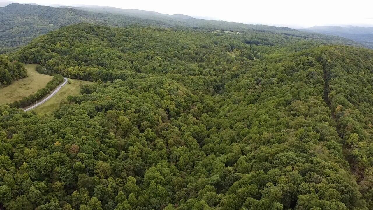 Sarton-wayside Rd Wayside Wv 24985 Union, WV 24983 - Photo 2 of 15 Gallery Image 2
