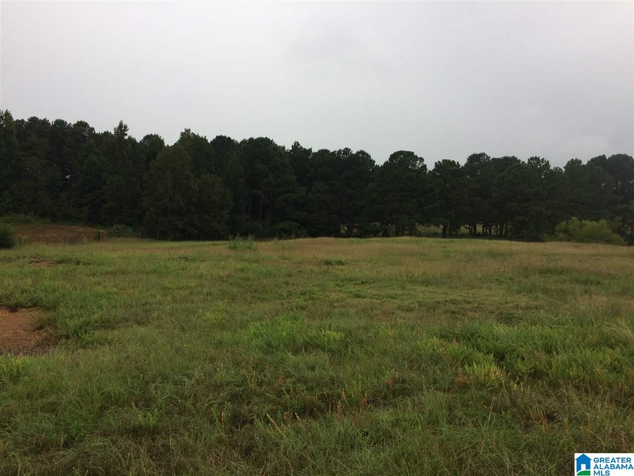17999 Groundhog Road, Unit 40 Adger, AL 35006 - Photo 10 of 10