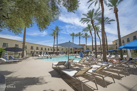 a view of a swimming pool with a lawn chairs and palm tree
