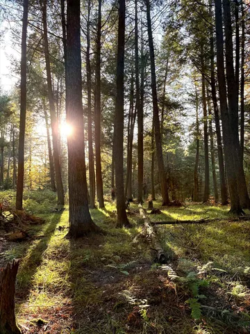 $274,900 | N6804 State Highway, Stephenson, MI 49887