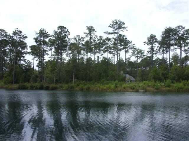 Lot 47 Low Country Loop Murrells Inlet, SC 29576 - Photo 4 of 6